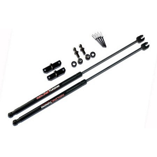 Амортизатор багажника та капоту